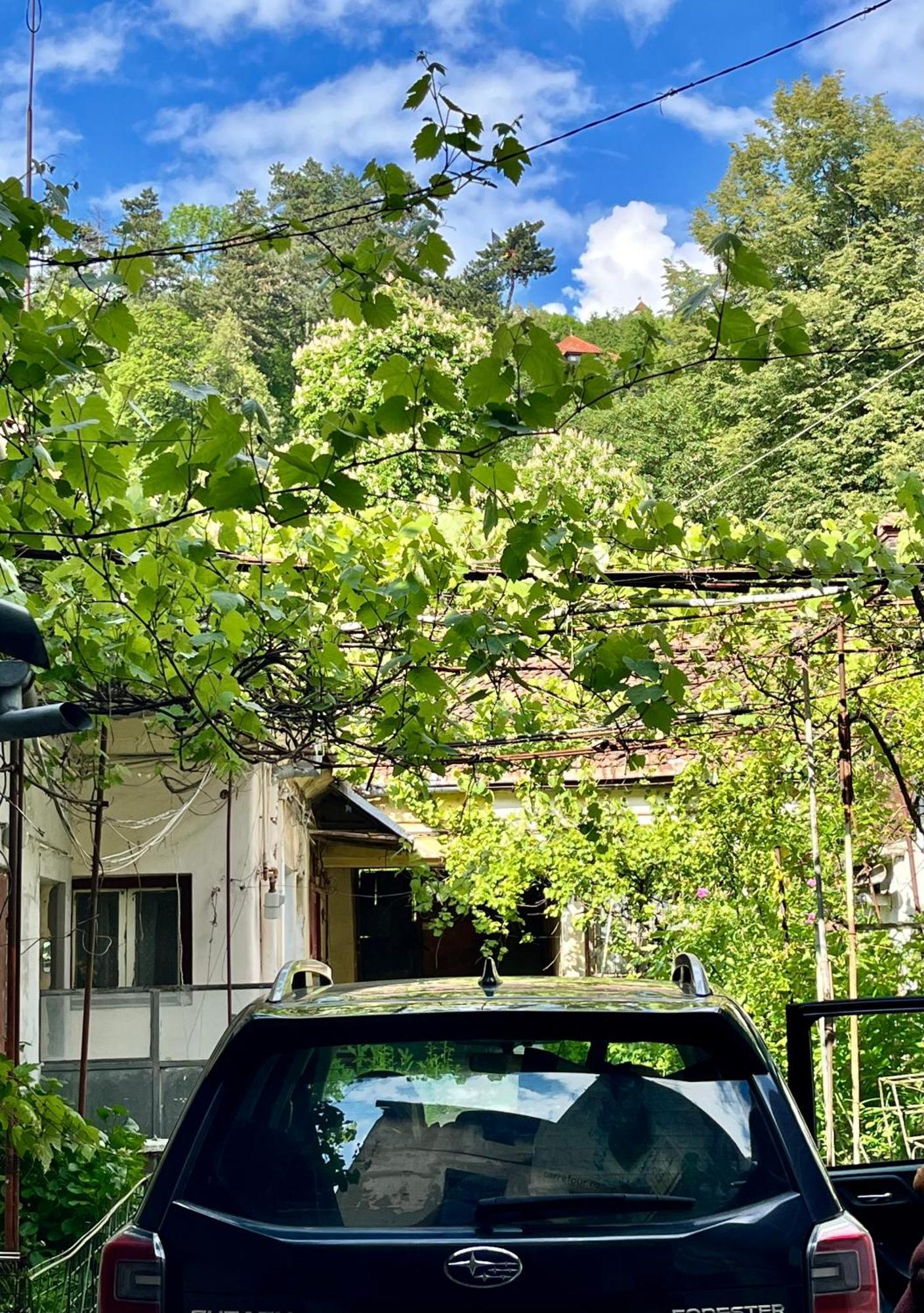 Casa Ming Villa Braşov Buitenkant foto