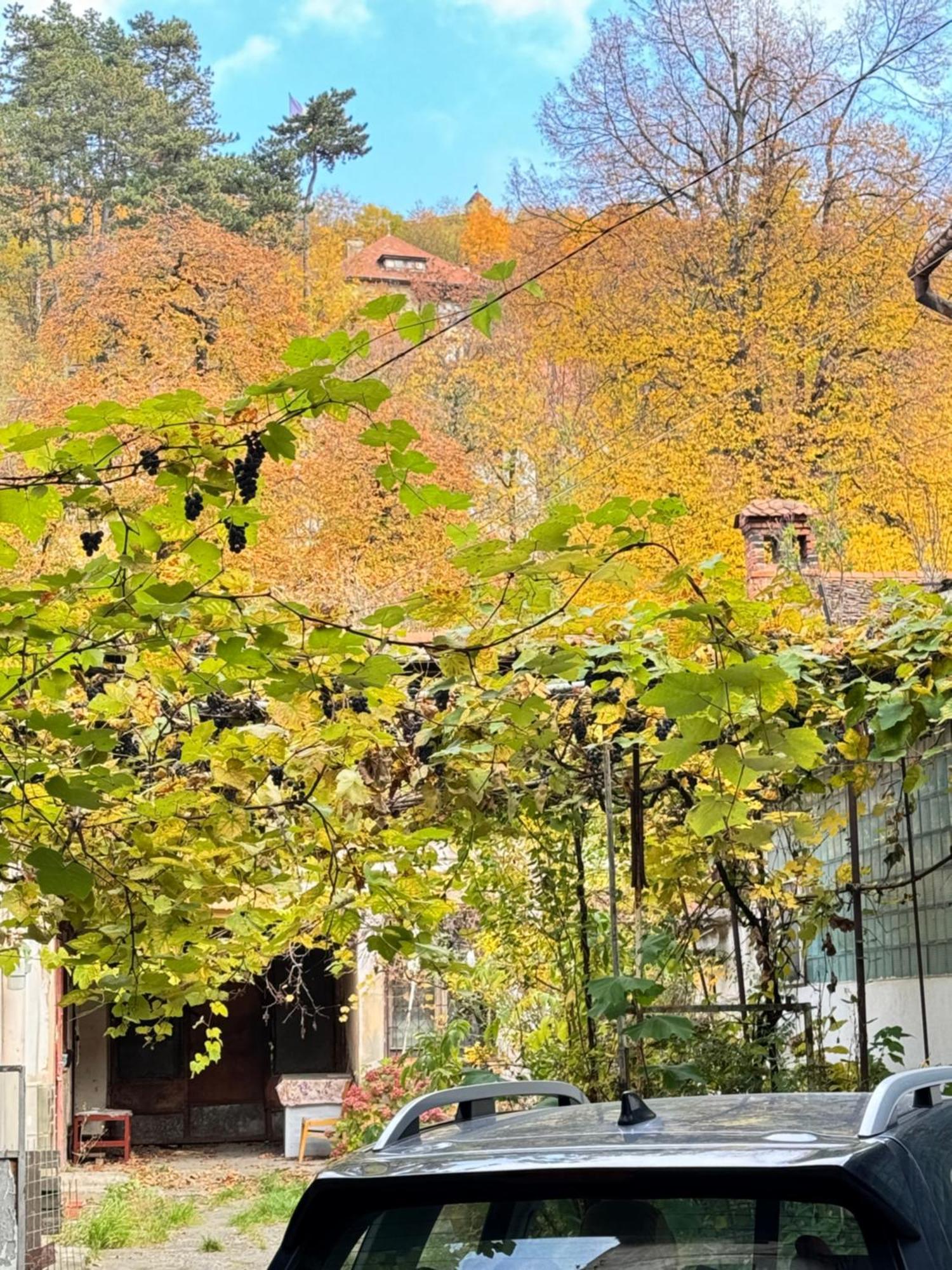 Casa Ming Villa Braşov Buitenkant foto