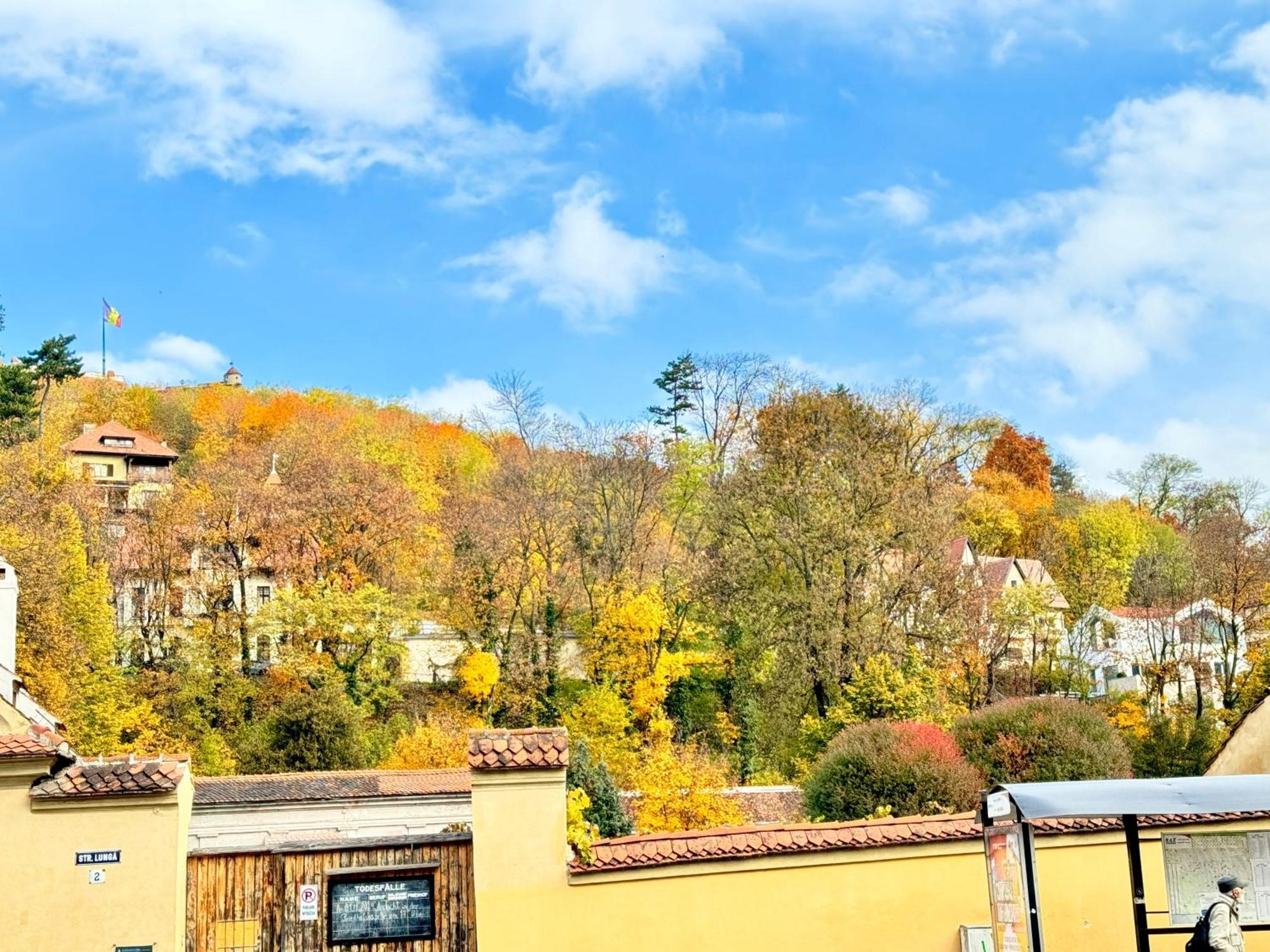 Casa Ming Villa Braşov Buitenkant foto